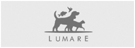 cp-logo-35-clientes-lumare-correa-porto